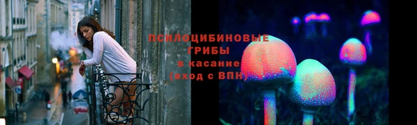 ПСИЛОЦИБИНОВЫЕ ГРИБЫ Богородск