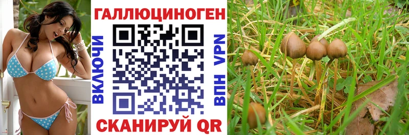 закладки  Светлый  OMG маркетплейс  Псилоцибиновые грибы мицелий 